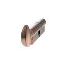 AGB Euro Profile 15 Pin Cylinder Key to Turn 40-40mm (80mm) in Copper Cylinder Atlantic