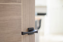 Forme Artemide Designer Lever Minimal Square Rose in Matt Black Designer Lever Handle Atlantic