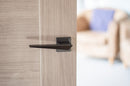 Forme Naxos Designer Lever Minimal Square Rose in Matt Black Designer Lever Handle Atlantic