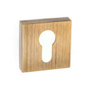 Forme Euro Escutcheon Minimal Square Rose Escutcheon Atlantic Pair Yester Bronze
