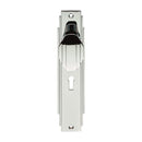 Art Deco Knob on Lock Backplate (Latch & Hinges Included)