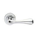 Astro Lever on Round Rose (Latch & Hinges Included)