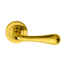 Astro Lever on Round Rose (Latch & Hinges Included)