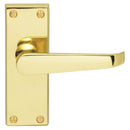Victorian Lever on Latch Backplate (Latch & Hinges Included)