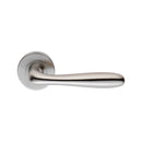 Lever on Sprung Rose (Latch & Hinges Included)