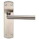 Steelworx Residential Mitred Lever on Latch Backplate (Latch & Hinges Included)