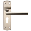 Steelworx Residential Mitred Lever on Euro Lock Backplate (Latch & Hinges Included)