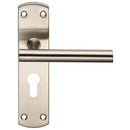 Steelworx Residential T Bar Lever on Euro Lock Backplate (Latch & Hinges Included)