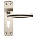 Steelworx Residential Arched Lever on Euro Lock Backplate (Latch & Hinges Included)