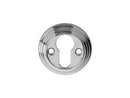 Delamain Euro Profile Escutcheon