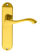 Andros Lever on Latch Backplate (Latch & Hinges Included)