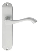Andros Lever on Latch Backplate (Latch & Hinges Included)