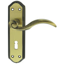 Wentworth Lever on Lock Backplate (Latch & Hinges Included)