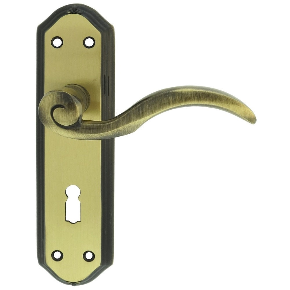 Wentworth Lever on Lock Backplate (Latch & Hinges Included)