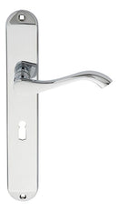 Andros Lever on Long Lock Backplate (Latch & Hinges Included)