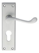 Victorian Scroll Lever on Euro Lock Backplate (Latch & Hinges Included)