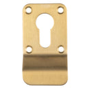 Euro Profile Cylinder Pull