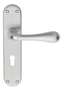 Astro Lever on Lock Backplate