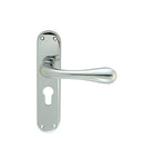 Astro Lever on Euro Lock Backplate
