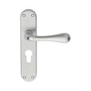 Astro Lever on Euro Lock Backplate