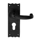 Traditional Lever on Euro Lock Backplate (Latch & Hinges Included)