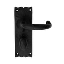 Traditional Lever on WC Backplate (Latch & Hinges Included)