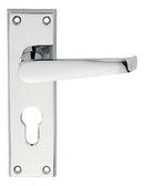 Victorian Lever on Euro Lock Backplate (Latch & Hinges Included)
