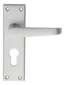 Victorian Lever on Euro Lock Backplate (Latch & Hinges Included)