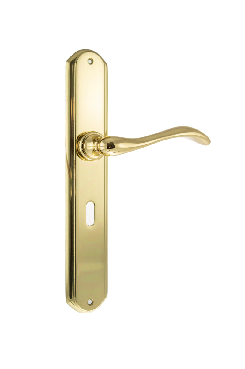 Forme Valence Solid Brass Key Lever Backplate