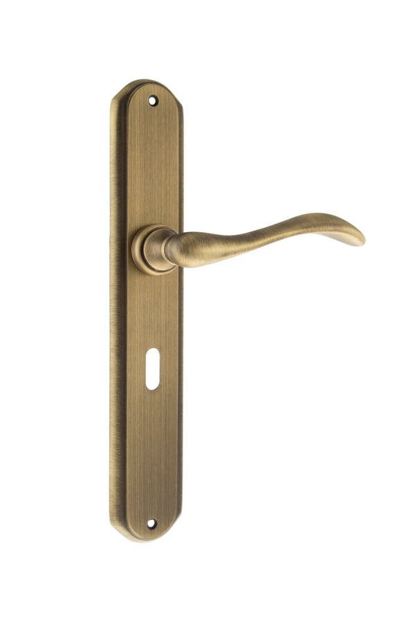 Forme Valence Solid Brass Key Lever Backplate