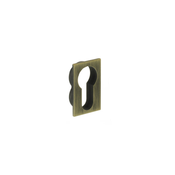 Forme Concealed Rose Euro Escutcheons Square in Yester Bronze