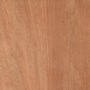 Paint Grade Flush Interior FD30