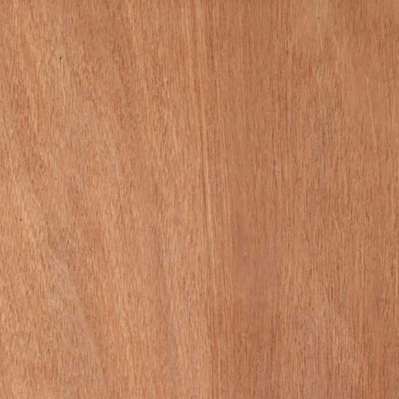 Paint Grade Flush Interior FD30