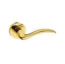 Mediterranean Valencia Lever Round Rose