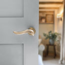 Old English Oxford Lever Round Rose