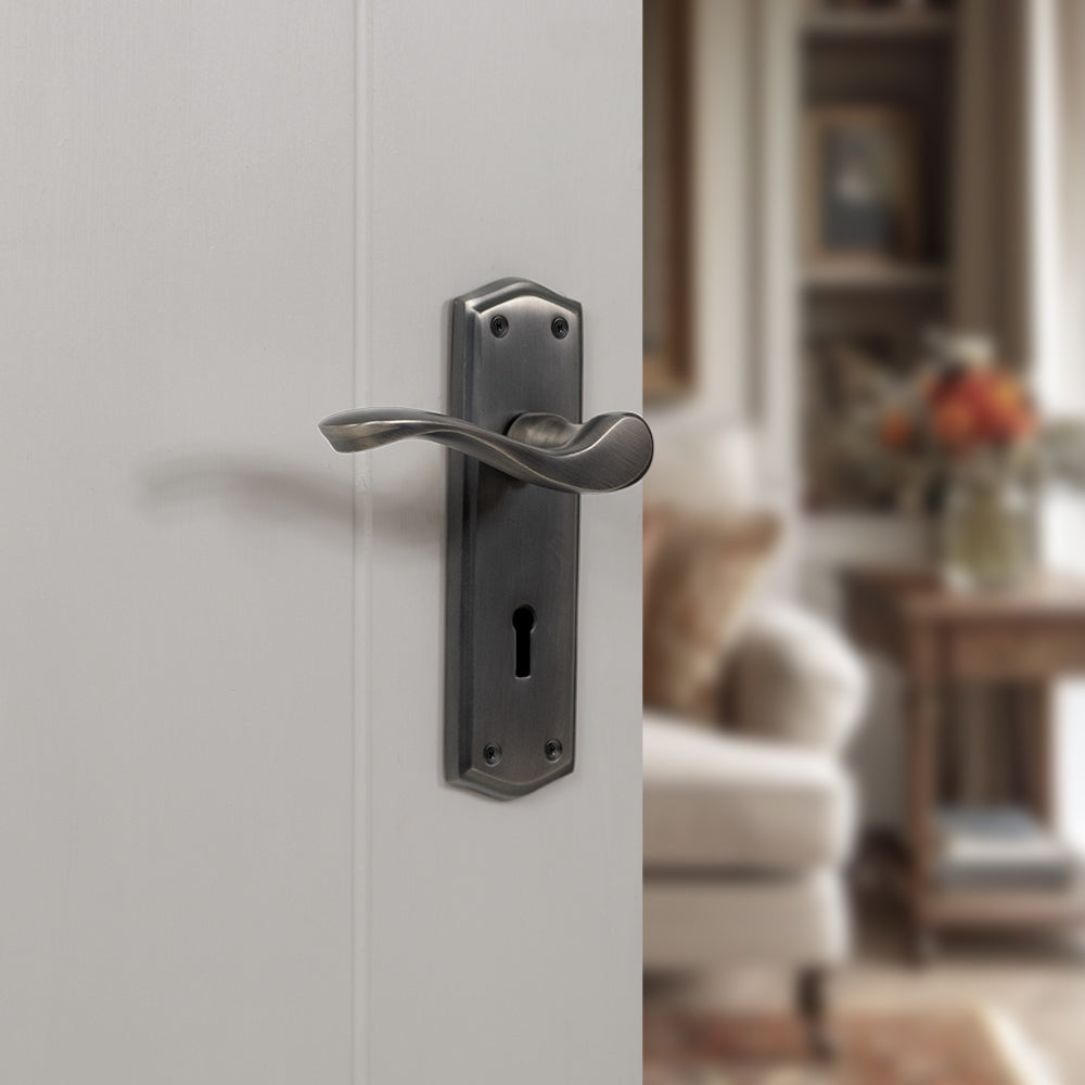Old English Warwick WC Lever Backplate