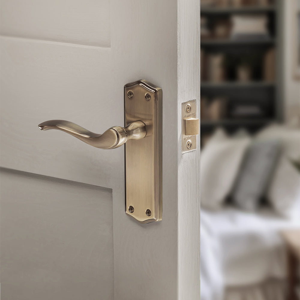 Old English Warwick WC Lever Backplate