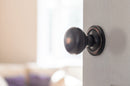 Old English Harrogate Solid Brass Mushroom Mortice Knob Concealed Fix Rose (Latch & Hinges Included) Mortice Knob Atlantic 