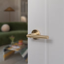 STATUS Nebraska Lever Door Handle on Round Rose