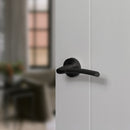 STATUS Indiana Lever Door Handle on Round Rose