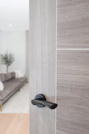 Status Colorado Lever Round Rose (Latch & Hinges Included) Lever on Round Rose Atlantic Set Matt Black 