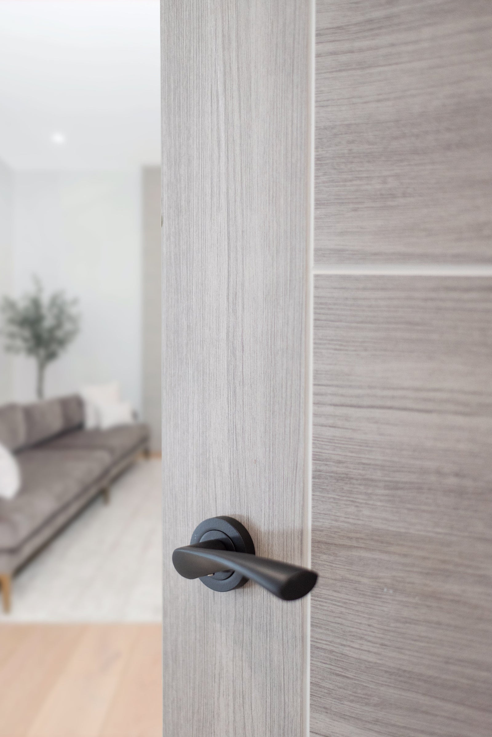 Status Colorado Lever Round Rose (Latch & Hinges Included) Lever on Round Rose Atlantic Set Matt Black 