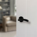 STATUS Texas Lever Door Handle on Round Rose