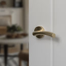 STATUS Texas Lever Door Handle on Round Rose