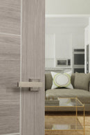 Status Montana Designer Lever S4 Square Rose (Latch & Hinges Included) Designer Lever Handle Atlantic 