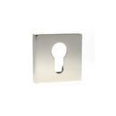Senza Pari Euro Escutcheon Flush Square Rose