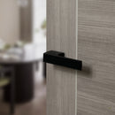 Tupai Rapido RetaLine Panela Designer Lever Long Rose (Without Decorative Plate)