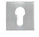 Tupai Rapido Curva QuadraLine Euro Escutcheon Square Rose Escutcheon Atlantic Pair Satin Chrome 