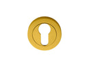 Euro Profile Escutcheon