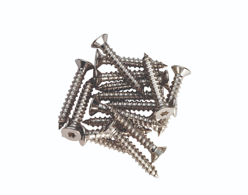 Hinge Metal Pack (16) M6 x 10mm Small Head PZ2 Hinge Pack Carlisle Brass 